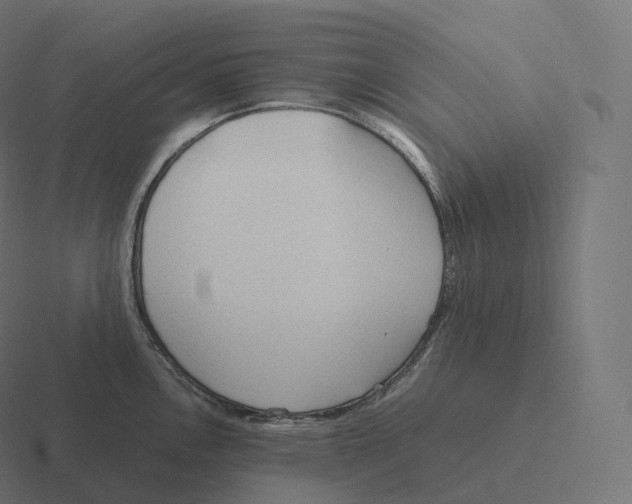 X0000116311146200912291446