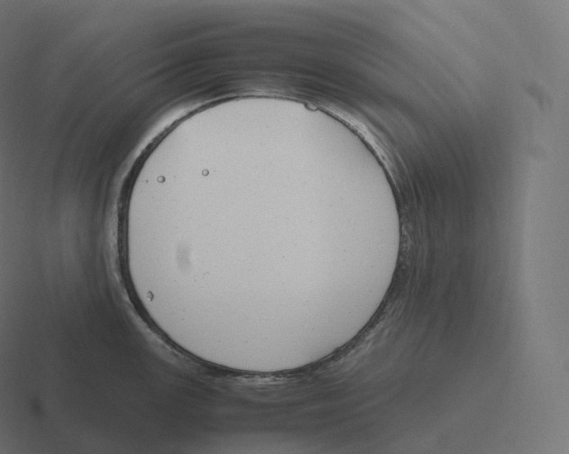 X0000116311147200912291446