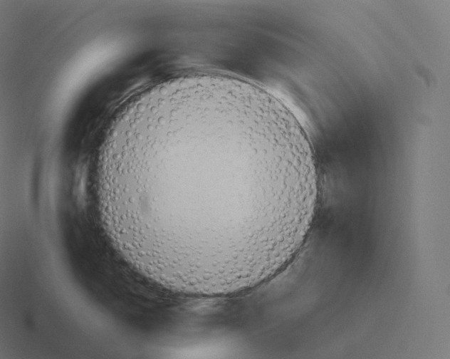 X0000116311150200912291446