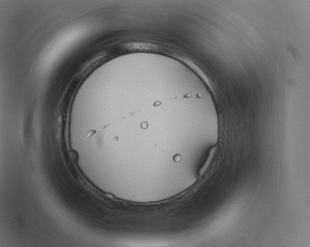 X0000116311151200912291446