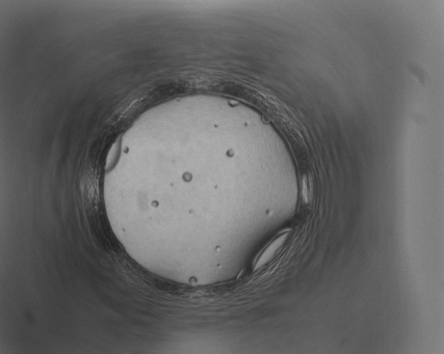 X0000116311155200912291445