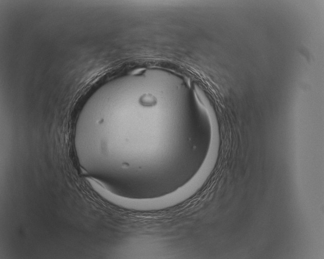 X0000116311157200912291445