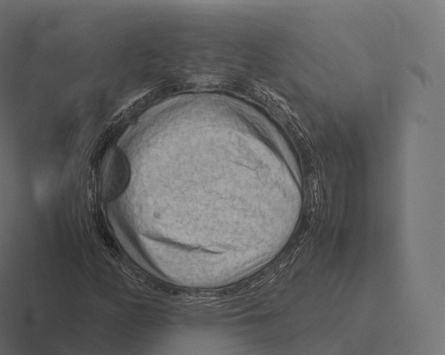 X0000116311158200912291445