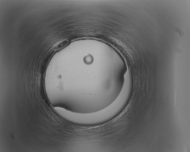 X0000116311161200912291445