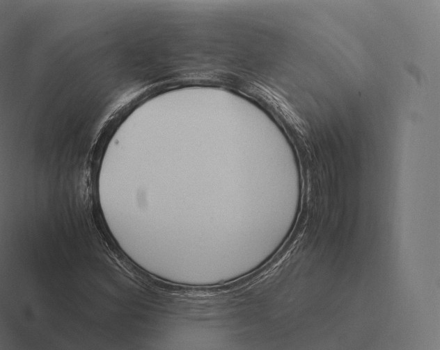 X0000116311164200912291445