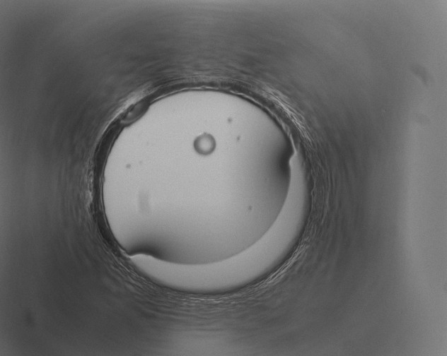 X0000116311165200912291445