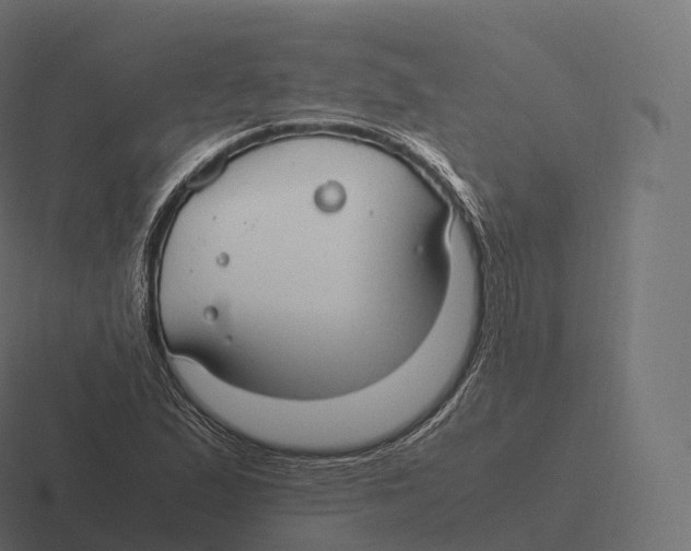 X0000116311167200912291445