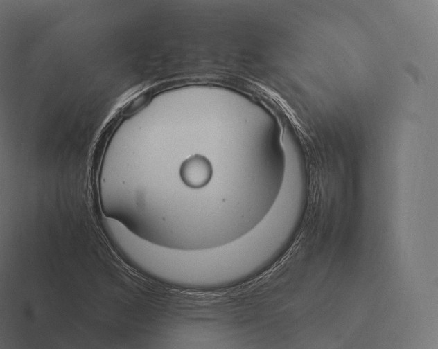 X0000116311168200912291445