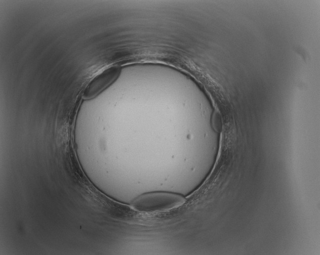 X0000116311169200912291445