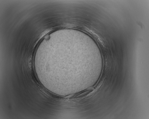 X0000116311170200912291445