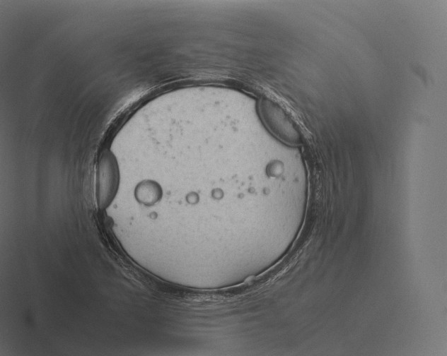 X0000116311171200912291445