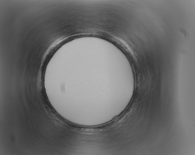 X0000116311172200912291445