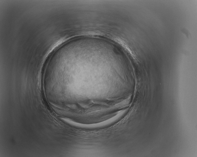 X0000116311173200912291445