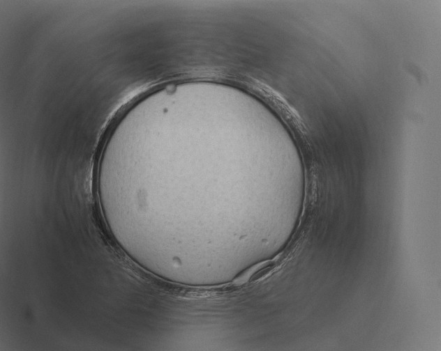 X0000116311174200912291445