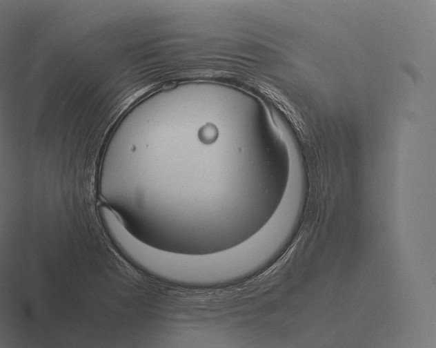 X0000116311177200912291445