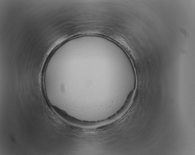 X0000116311181200912291445