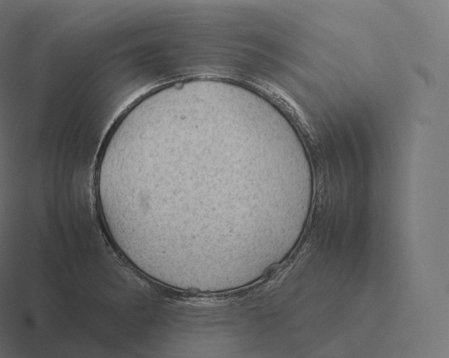 X0000116311182200912291445