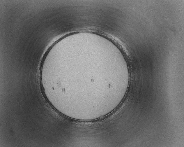 X0000116311184200912291445