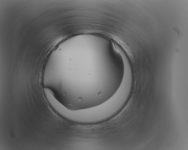 X0000116311185200912291445