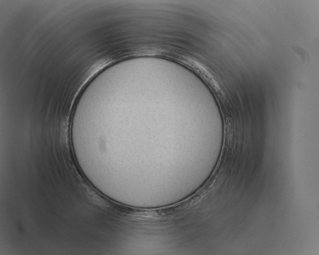 X0000116311186200912291445