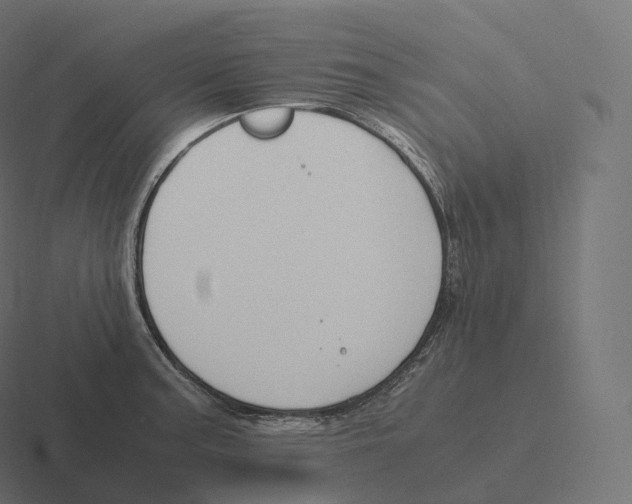 X0000116311187200912291445