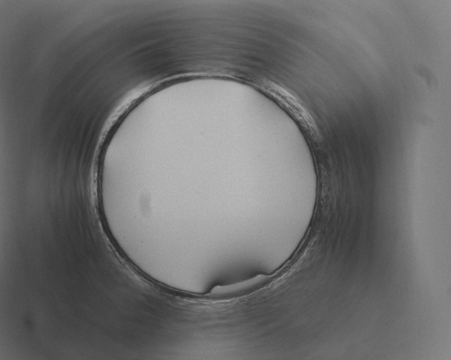 X0000116311188200912291445