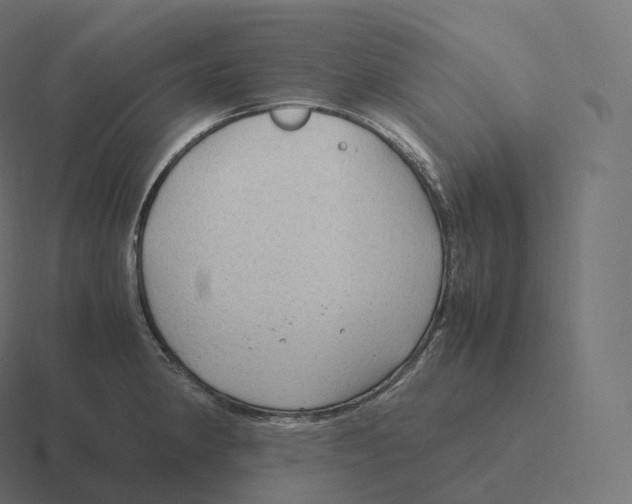 X0000116311190200912291445