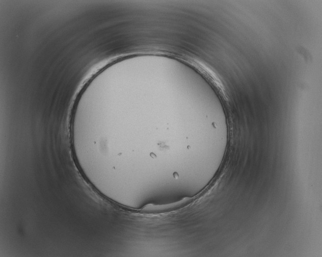 X0000116311192200912291445