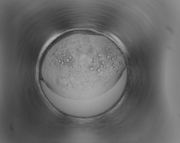 X0000116311196200912291445