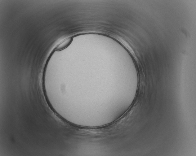 X0000116311197200912291445