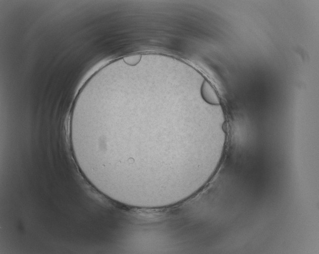 X0000116311198200912291445