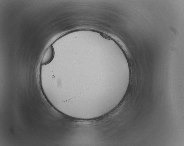 X0000116311199200912291445