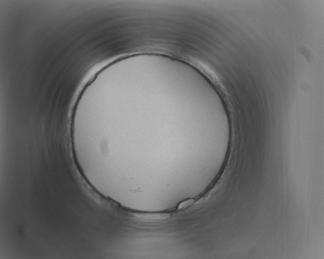 X0000116311200200912291445