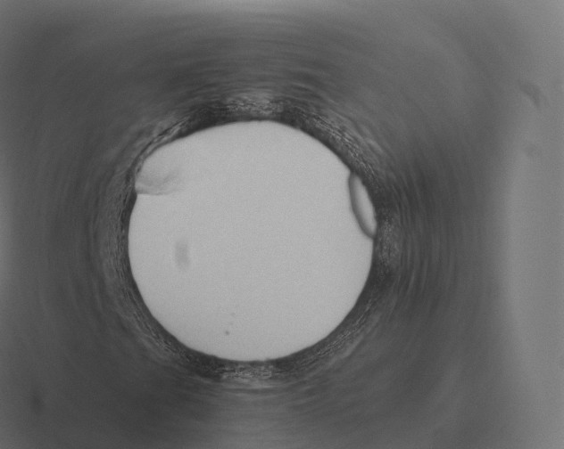 X0000116311201200912291444