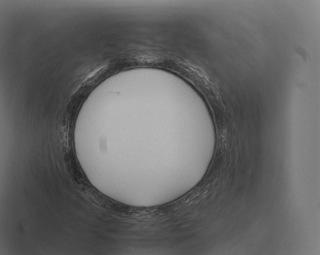 X0000116311205200912291444