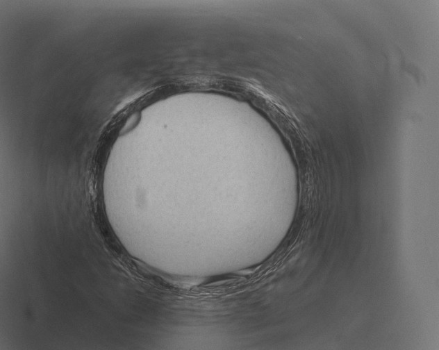 X0000116311206200912291444