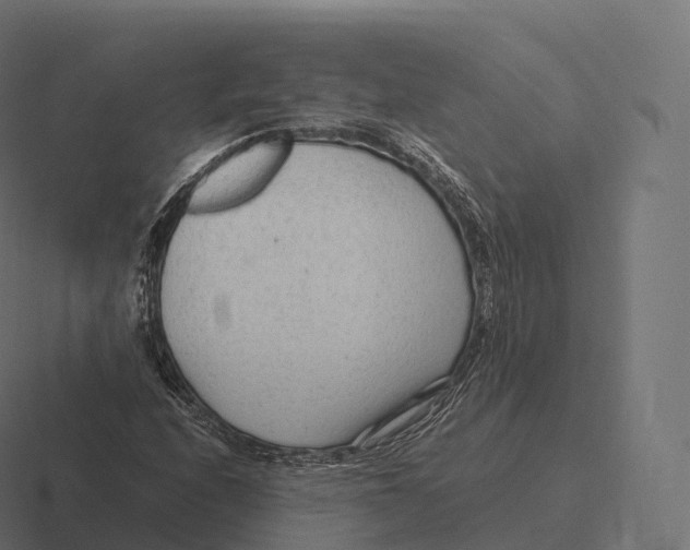 X0000116311208200912291444