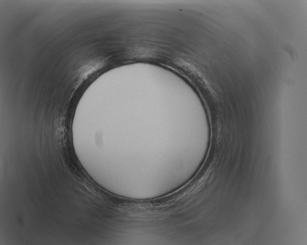 X0000116311210200912291444