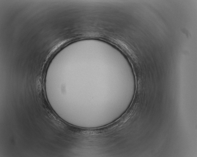 X0000116311212200912291444