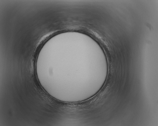 X0000116311214200912291444