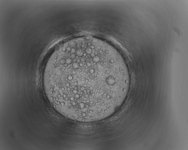 X0000116311215200912291444