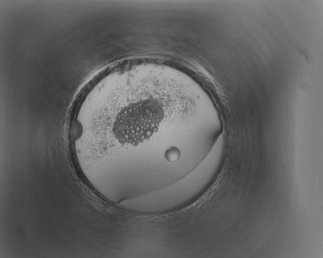 X0000116311216200912291444