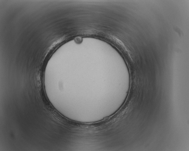 X0000116311218200912291444