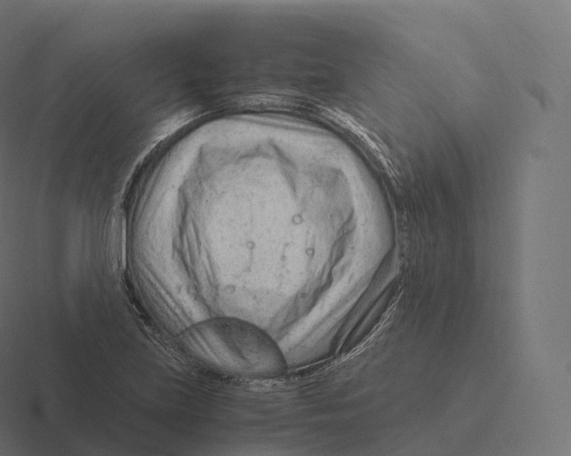 X0000116311219200912291445