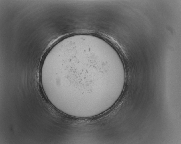 X0000116311220200912291445