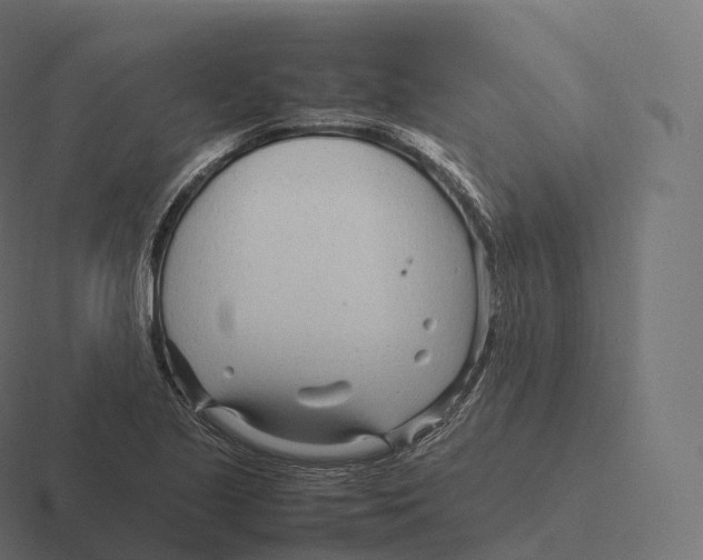 X0000116311221200912291445