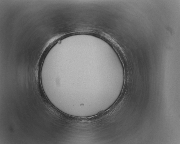 X0000116311222200912291445