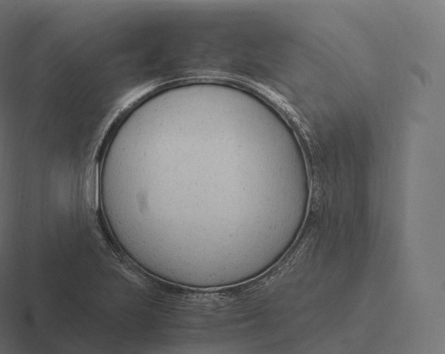 X0000116311223200912291445