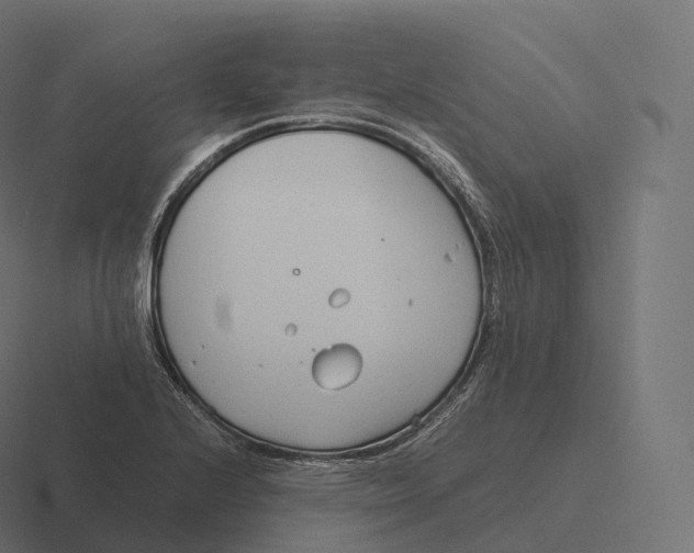 X0000116311224200912291445