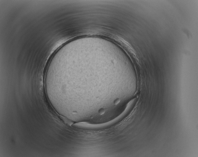 X0000116311226200912291445